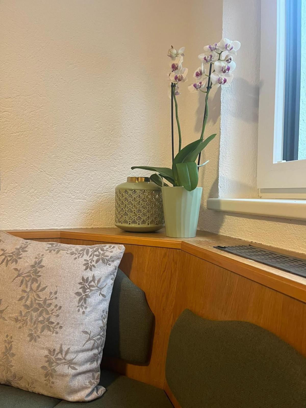 Haus Evi Appartement Oetz Buitenkant foto